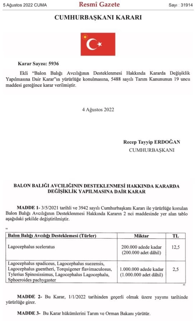 Balon balığı avlayanlara ödenecek destekleme tutarları artırıldı
