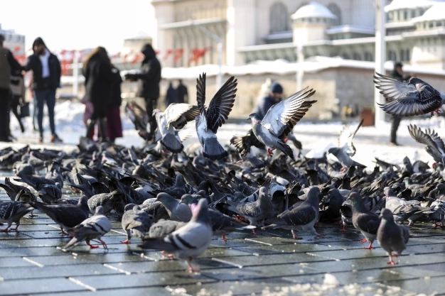 Bir milyonluk göç yolculuğu başlıyor