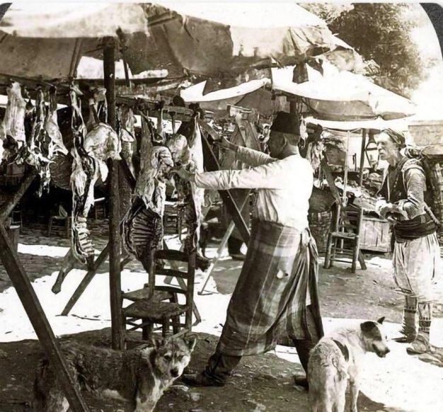 Bir milyonluk göç yolculuğu başlıyor