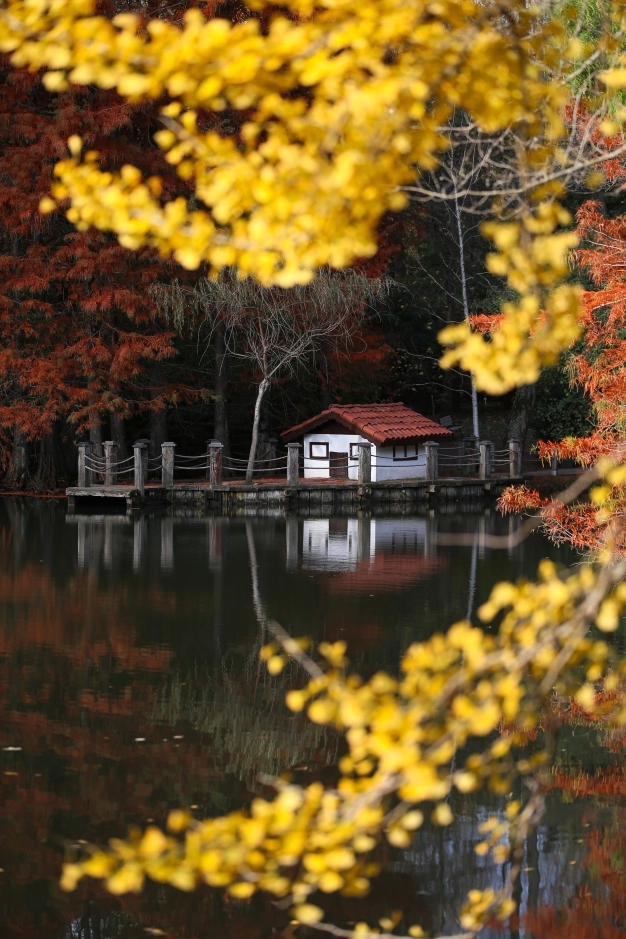 Tüketimle değişen İstanbul iklimi