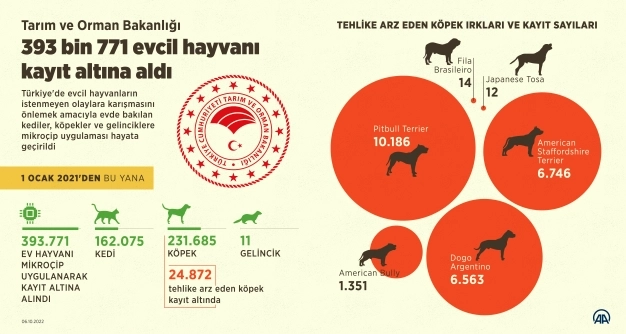 393 bin 771 evcil hayvan kayıt altına alındı
