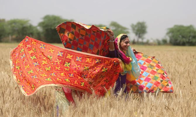 Hindistan'da Baisakhi festivali